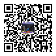 微信（xìn）二維碼